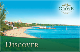 Discover